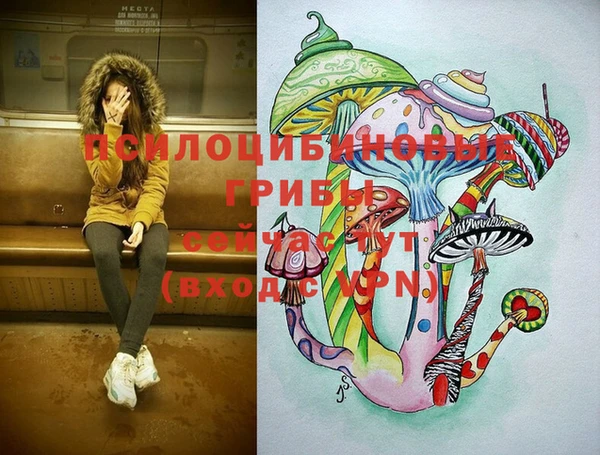 молекула духа Армянск