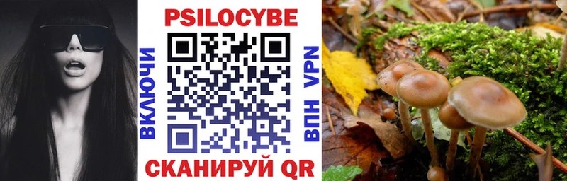 Купить где  Покачи  Галлюциногенные грибы GOLDEN TEACHER 