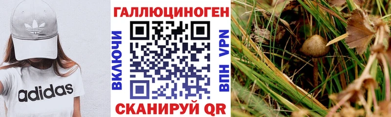 Псилоцибиновые грибы Magic Shrooms Покачи